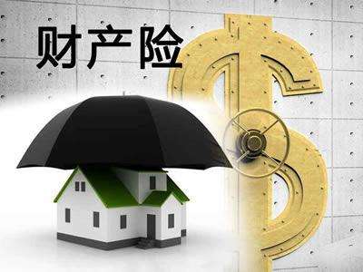 如何選擇財產保險來降低財產損失？