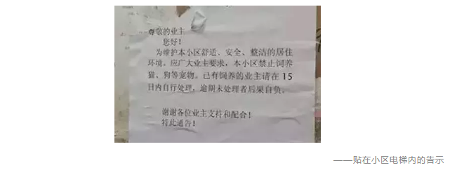 為什麼不買保險就不讓養狗？