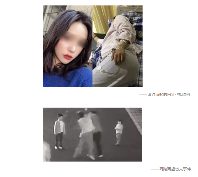 為什麼不買保險就不讓養狗？