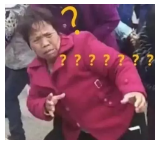 為什麼不買保險就不讓養狗？