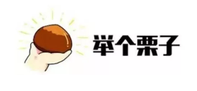 什麼是年金轉換？