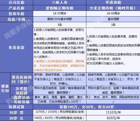 愛相隨定期壽險：2019最值得買的壽險