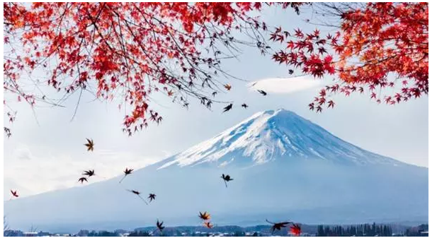 尊享e生值不值得購買？