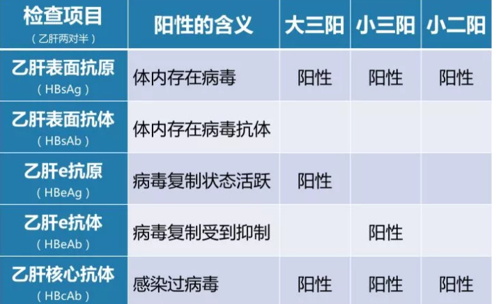 乙肝病毒攜帶者應該如何正確投保？