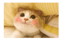 到底什麼是保單貼現？